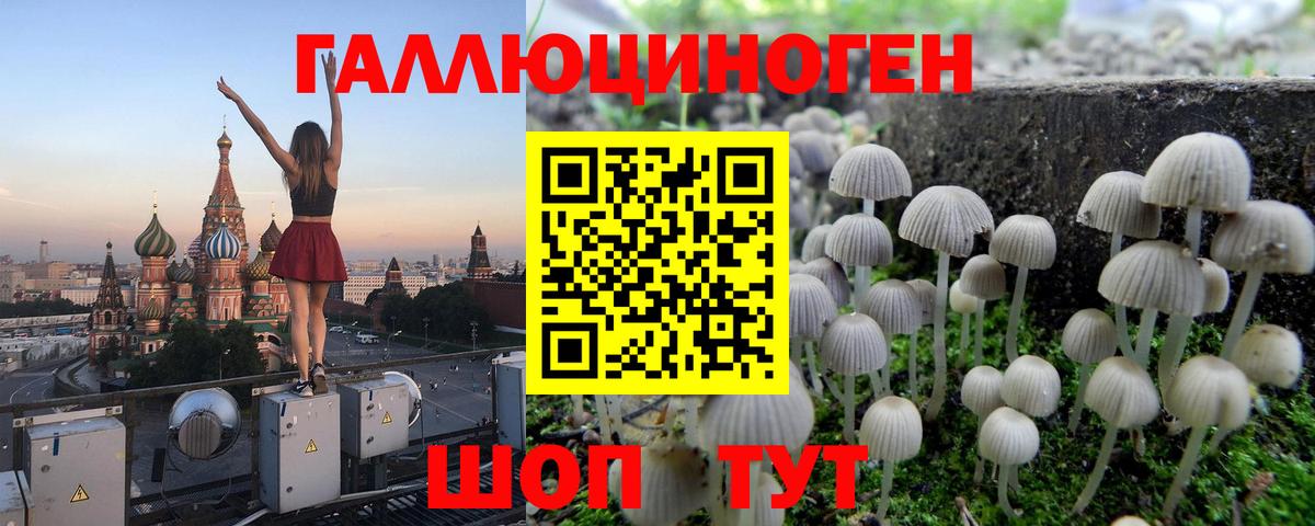 Галлюциногенные грибы MAGIC MUSHROOMS  Вход с VPN  Волжский  Псилоцибиновые грибы Psilocybe 