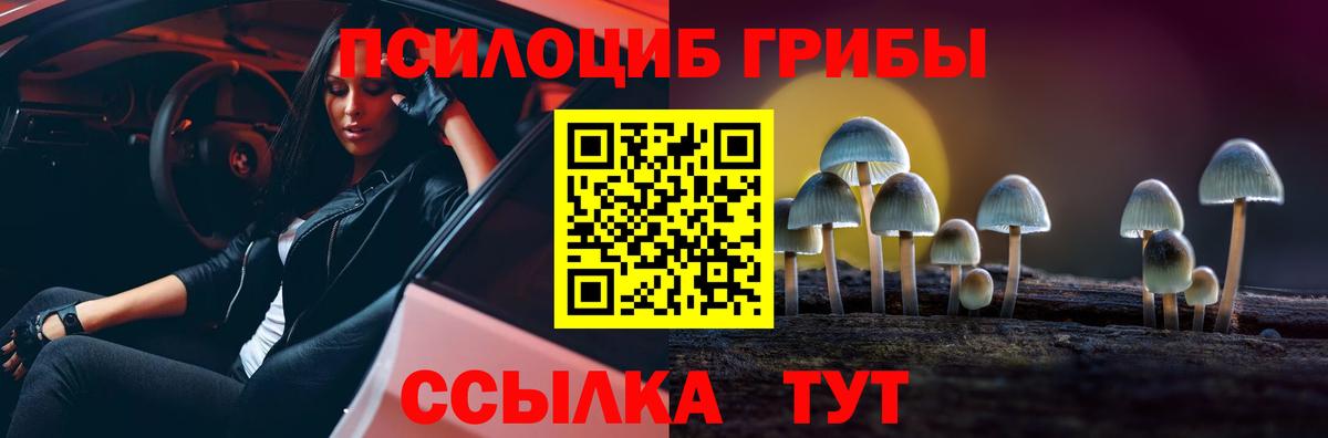 Галлюциногенные грибы мицелий Волжский