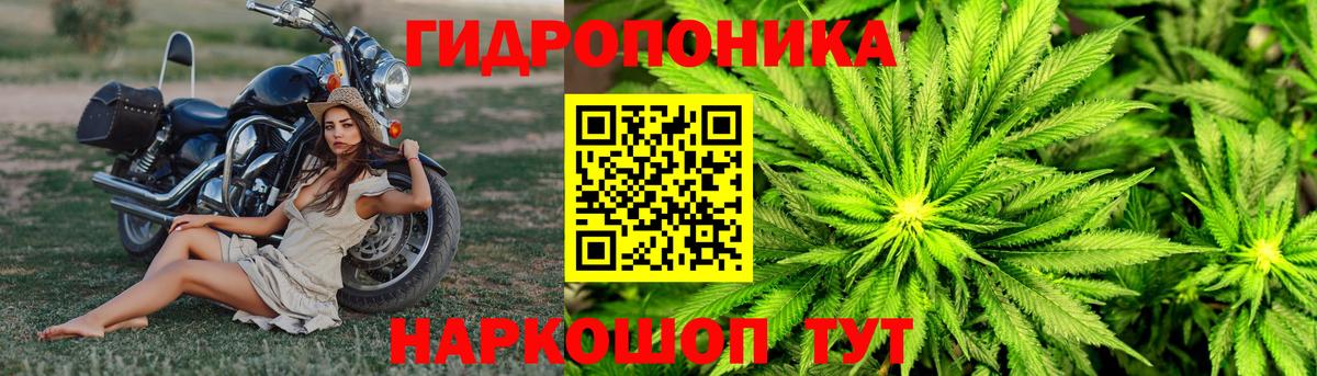 Канабис SATIVA & INDICA  Каннабис LSD WEED  Марихуана OG Kush  Волжский  Вход с VPN 